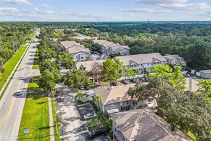 5238 Sunridge Palms Dr, Tampa, FL 33617 - Photo 73