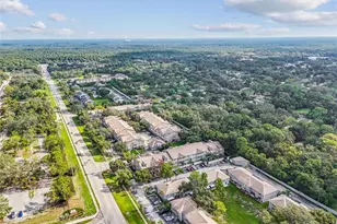 5238 Sunridge Palms Dr, Tampa, FL 33617 - Photo 71