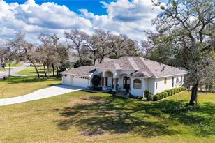 13855 Rudi Loop, Spring Hill, FL 34609 - Photo 65
