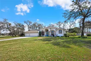 13855 Rudi Loop, Spring Hill, FL 34609 - Photo 53