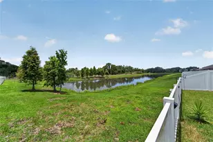 10281 Shady Preserve Dr, Riverview, FL 33578 - Photo 27