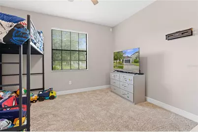 10222 Celtic Ash Drive, Ruskin, FL 33573 - Photo 31