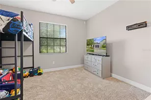 10222 Celtic Ash Dr, Ruskin, FL 33573 - Photo 31