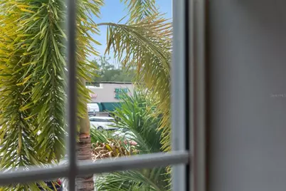 3025 W Grovewood Court #3, Tampa, FL 33629 - Photo 53