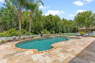 27335 Roseling Ct, Wesley Chapel, FL 33544 - Photo 3