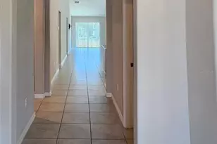 165 Rain Berry Ave, Ruskin, FL 33570 - Photo 5