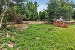 8608 Hamster Dr, Zephyrhills, FL 33540 - Photo 9