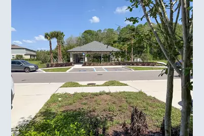 17616 Nectar Flume Drive, Land O Lakes, FL 34638 - Photo 53