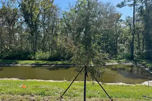[Address not provided], Land O Lakes, FL 34638 - Photo 25