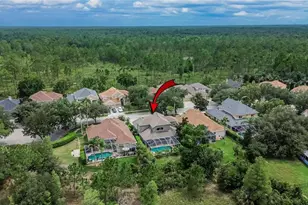 10103 Deercliff Dr, Tampa, FL 33647 - Photo 77