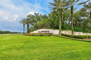10103 Deercliff Dr, Tampa, FL 33647 - Photo 79