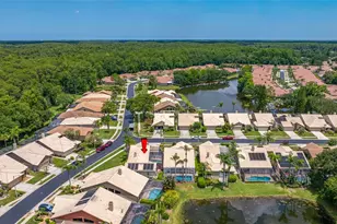 5450 Greyston St, Palm Harbor, FL 34685 - Photo 77