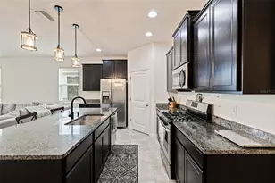7533 Lantern Park Ave, Apollo Beach, FL 33572 - Photo 3