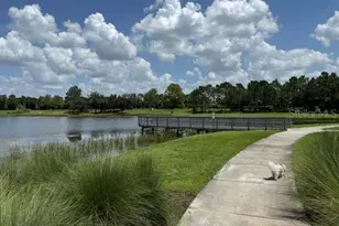 7533 Lantern Park Ave, Apollo Beach, FL 33572 - Photo 47