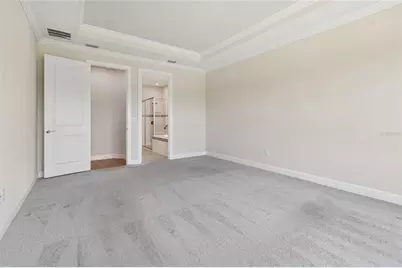 29306 Ginnetto Drive, Wesley Chapel, FL 33543 - Photo 19