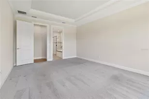 29306 Ginnetto Dr, Wesley Chapel, FL 33543 - Photo 19