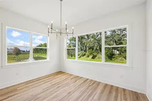 12231 White Blossom Ct, Parrish, FL 34219 - Photo 11