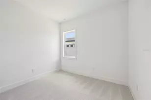 12231 White Blossom Ct, Parrish, FL 34219 - Photo 27