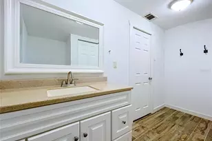 10820 S County Road 39 S, Lithia, FL 33547 - Photo 39