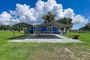 10820 S County Road 39 S, Lithia, FL 33547 - Photo 5
