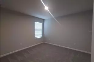 26010 Woven Wicker Bnd, Lutz, FL 33559 - Photo 17