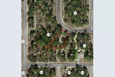 2872 W Lambert Drive, Dunnellon, FL 34433 - Photo 1