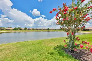 5532 Sunset Falls Dr, Apollo Beach, FL 33572 - Photo 3