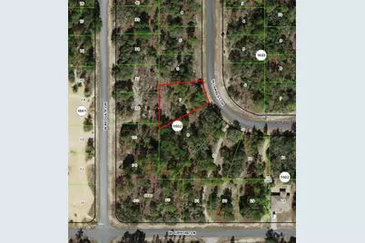 2882 W Lambert Drive, Dunnellon, FL 34433 - Photo 1