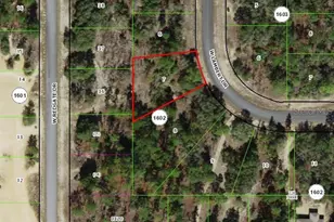 2882 W Lambert Dr, Dunnellon, FL 34433 - Photo 1