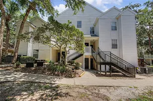 3266 Haviland Ct, Palm Harbor, FL 34684 - Photo 35