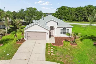 27211 Liriope Ct, Wesley Chapel, FL 33544 - Photo 39