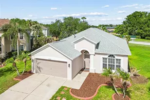 27211 Liriope Ct, Wesley Chapel, FL 33544 - Photo 1
