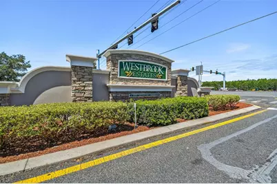 27211 Liriope Court, Wesley Chapel, FL 33544 - Photo 49