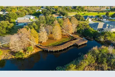 20828 Eustis Road, Land O Lakes, FL 34637 - Photo 79