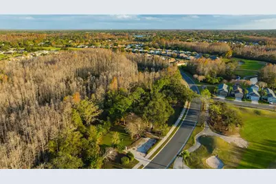 20828 Eustis Road, Land O Lakes, FL 34637 - Photo 71