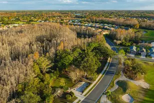 20828 Eustis Rd, Land O Lakes, FL 34637 - Photo 71