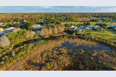 20828 Eustis Road, Land O Lakes, FL 34637 - Photo 77