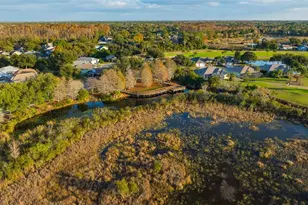 20828 Eustis Rd, Land O Lakes, FL 34637 - Photo 77