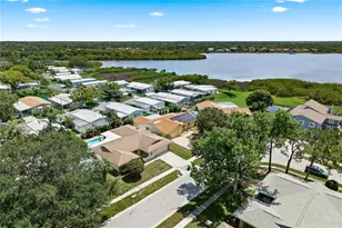254 Timberview Dr, Safety Harbor, FL 34695 - Photo 51