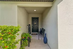 14217 Alistar Manor Dr, Wimauma, FL 33598 - Photo 3