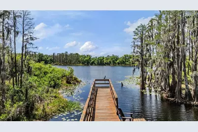 14229 Damselfly Drive, Tampa, FL 33625 - Photo 25