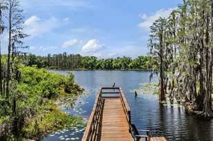 14229 Damselfly Dr, Tampa, FL 33625 - Photo 25
