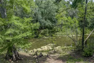 33065 Cedonia Rd, Ridge Manor, FL 33523 - Photo 37