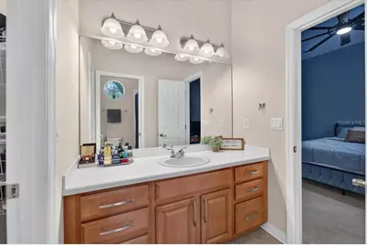 5325 Lake Siena Drive, Wimauma, FL 33598 - Photo 39
