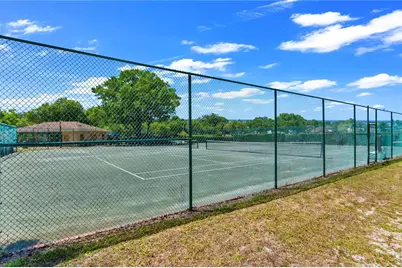 13115 Royal George Avenue, Odessa, FL 33556 - Photo 67