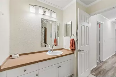 6224 Clifton Palms Drive, Tampa, FL 33647 - Photo 43