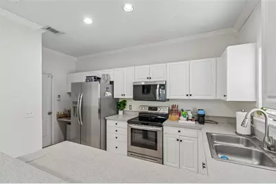 6224 Clifton Palms Drive, Tampa, FL 33647 - Photo 5