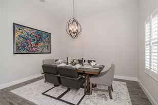 8687 Birchleaf Ct Ct, Land O Lakes, FL 34637 - Photo 15