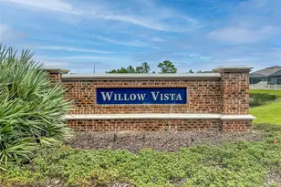 8687 Birchleaf Ct Ct, Land O Lakes, FL 34637 - Photo 27