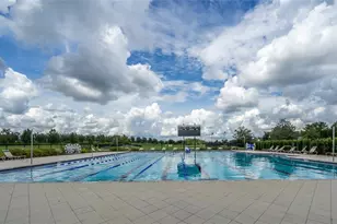 8687 Birchleaf Ct Ct, Land O Lakes, FL 34637 - Photo 61